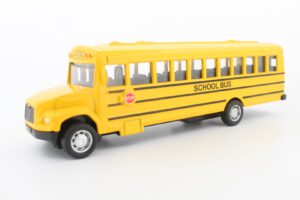 Bluebird School Bus